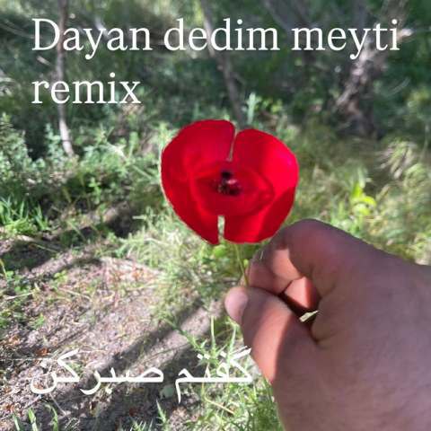 دانلود آهنگ میتی دیپ به نام گفتم صبر کن (ریمیکس ترکی)